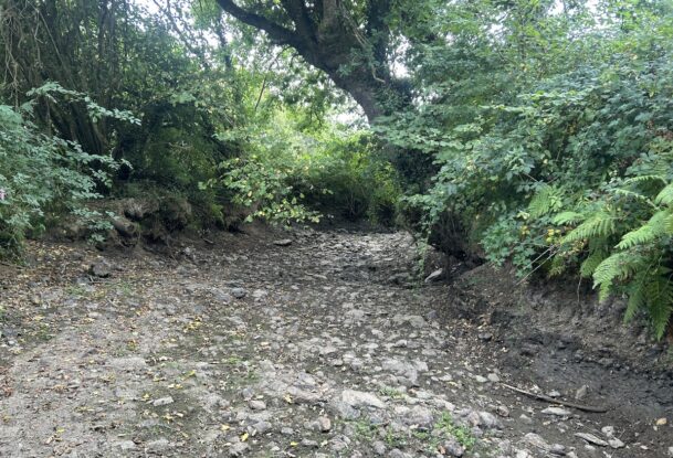 Une rivière à sec qui ressemble à un chemin creux