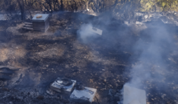 Des ruches ravagées par les flammes