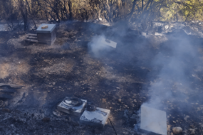 Des ruches ravagées par les flammes