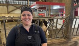 Une femme dans un bâtiment vaches laitières