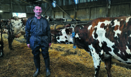 éleveur dans un bâtiment avec des vaches