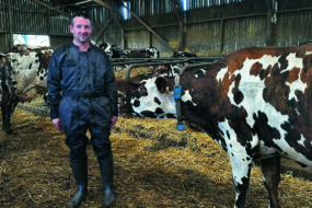 éleveur dans un bâtiment avec des vaches