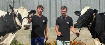 Deux jeunes hommes présentent deux vaches de race Holstein