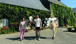 Une femme et un jeune homme présente une vache de race Holstein dans la cour d'une maison de ferme