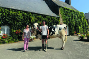 Une femme et un jeune homme présente une vache de race Holstein dans la cour d'une maison de ferme
