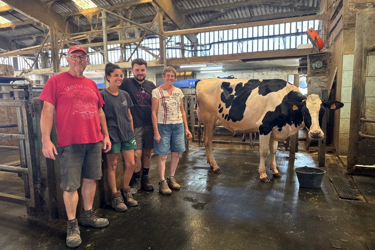 Deux hommes et deux femmes près d'une vache de race Holstein - Illustration Urion rouvre la porte de Rennes 14 ans après