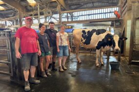 Deux hommes et deux femmes près d'une vache de race Holstein