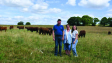 Un homme et 2 femmes sur une pâture avec des vaches de race Salers