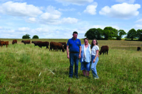 Un homme et 2 femmes sur une pâture avec des vaches de race Salers