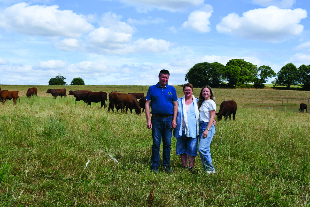 Un homme et 2 femmes sur une pâture avec des vaches de race Salers - Illustration Un troupeau 100 % sans cornes en Salers