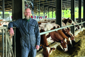Un éleveur en bleu de travail devant des vaches de race Pie Rouge en train de manger leur ration à l'auge