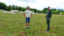 deux éleveurs sur un pâturage avec des vaches en arrière plan
