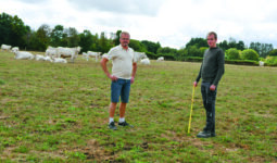 deux éleveurs sur un pâturage avec des vaches en arrière plan