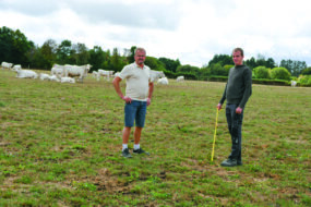 deux éleveurs sur un pâturage avec des vaches en arrière plan