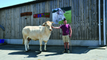 Un homme tient au licol une vache blonde d'aquitaine devant un bâtiment
