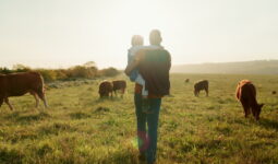 Un homme avec un enfant dans les bras au milieu d'une prarie avec des vaches