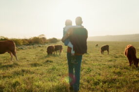 Un homme avec un enfant dans les bras au milieu d'une prarie avec des vaches