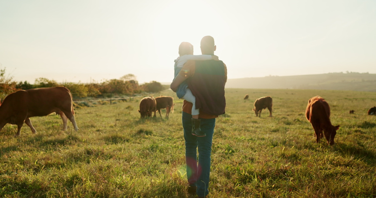 Un homme avec un enfant dans les bras au milieu d'une prarie avec des vaches - Illustration Un congé supplémentaire  en cas de naissance et adoption