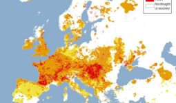 carte d'Europe indiquant les zones les plus affectées par la sécheresse