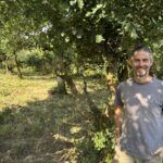 Un homme dans une pâture avec beaucoup d'arbres