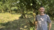 Un homme dans une pâture avec beaucoup d'arbres