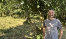 Un homme dans une pâture avec beaucoup d'arbres