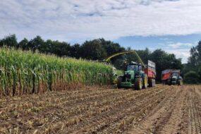 Un chantier d'ensilage de maïs : la goulotte d'une ensileuse projette du fourrage dans la remorsuqe tirée par un trcateur pendant qu'un autre attelage attend son tour derrière