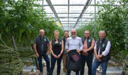 Six personnes dans une serre