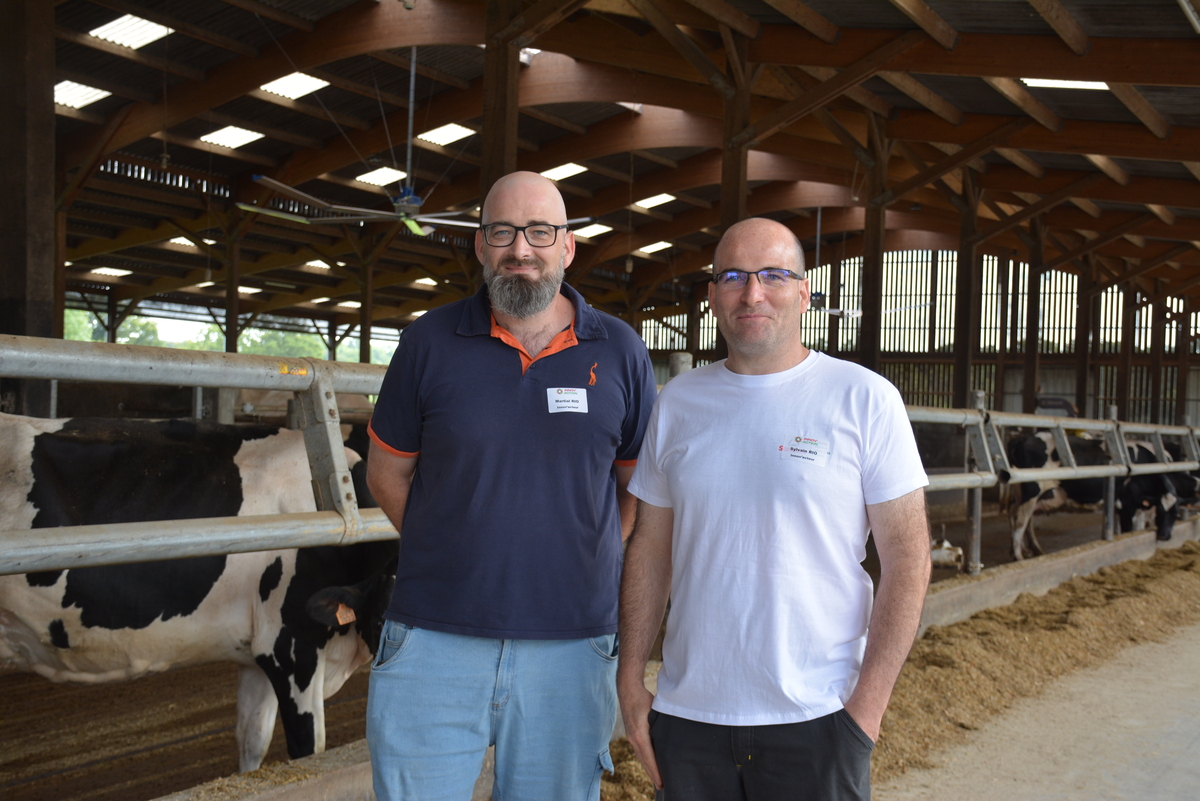 Deux éleveurs dans une étable - Illustration Des caméras pour analyser le comportement des vaches