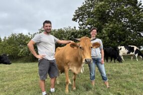 Un homme et une femme avec une vache dans un champ
