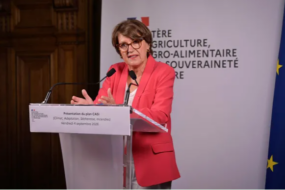 Une femme parle derrière un pupitre