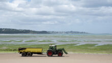 Récolte d'algues vertes sur la plage