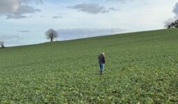 UN homme seul marche dans un champ cultivé