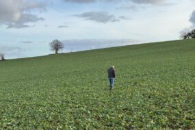 UN homme seul marche dans un champ cultivé
