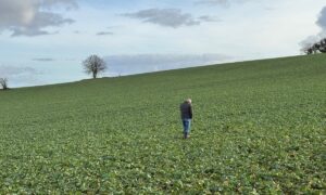UN homme seul marche dans un champ cultivé