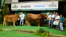 gagnants limousins sur podium du Space