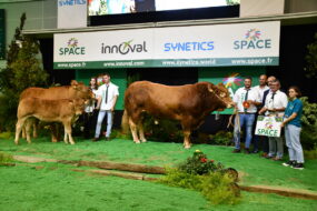 gagnants limousins sur podium du Space