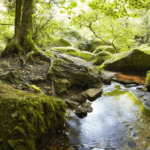 Une rivière à Huelgoat
