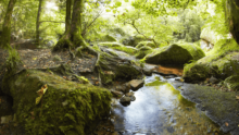 Une rivière à Huelgoat