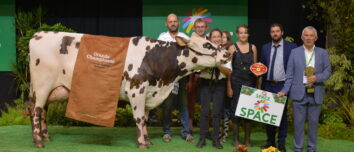 Une vache avec des personnes