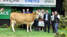 concours Simmental