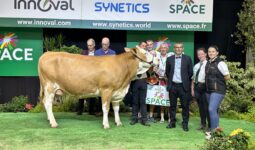 concours Simmental