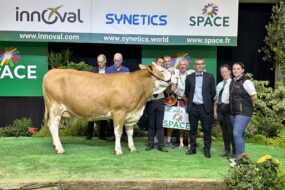 concours Simmental