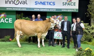 concours Simmental