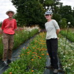 Deux femmes sur une parcelle de fleurs