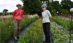 Deux femmes sur une parcelle de fleurs