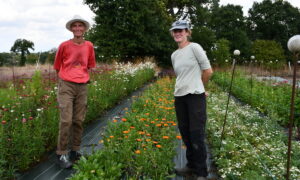 Deux femmes sur une parcelle de fleurs