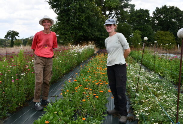 Deux femmes sur une parcelle de fleurs