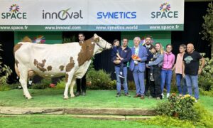 Une vache montbéliarde avec un groupe de personne posent sur le podium d'un concour bovin