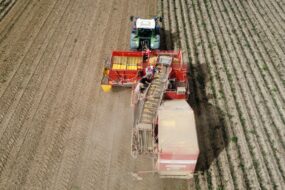 arracheuse pomme de terre airsep